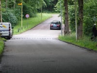 Kopje van Aerdenhout Ost