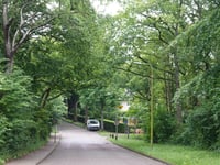 Kopje van Aerdenhout Ost