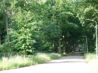 Oeselenberg über Panovenlaan