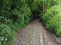 Nommelenberg