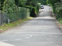 Verrezicht
