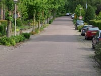 Koning Davidlaan via Pauluslaan