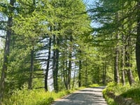 Col de la Lombarde von Pratolungo