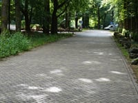 Profetenlaan via Rechterslaan