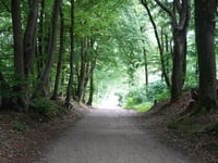 Meiberg von Berg en Dal