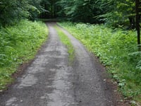 Beginenberg par Schwarzer Weg