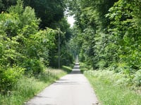 Brandenberg from Klever Reichswald