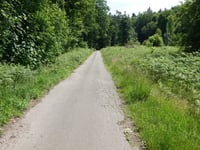 Geldenberg z Frasselt