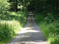 Geldenberg z Frasselt