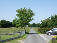 Bergstrasse von Frasselt