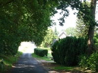 Wolfsbergstrasse von Nütterden