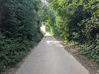 Ganzenberg
