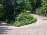 Ronscione da San Pietro