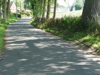 Negenoog