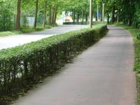 Hollebeekstraat depuis Rumst