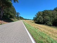 Schönauer Höhe von Kaub