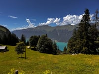Axalp von Brienz