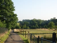 Halfbunder