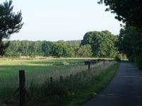 Kipdorp von Bergom