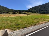 Colle di San Pánthaleone von Chambave