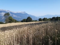 Col de la Chal von Saint-Georges-de-Commiers