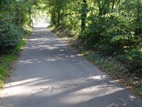 Mottaart