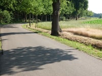 Kapittelberg