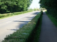 Blauberg