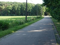 Drie Eikenstraat vanuit Herselt