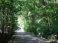 Drie Eikenstraat vanuit Herselt