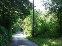 Waterheide