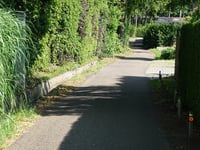 Kipdorp via Kleine Hees