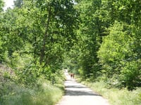 Heistraat from Herentals