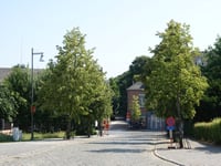 Heistse Berg da Onvredestraat