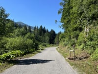 Mittelbergpass da Jaun