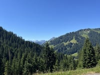 Mittelbergpass von Saanen