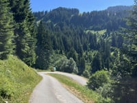 Mittelbergpass von Saanen