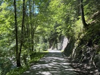 Mittelbergpass von Saanen