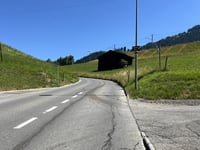 Saanenmöser via Gruebenstrasse