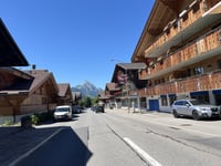 Saanenmöser von Saanen
