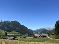 Saanenmöser von Saanen