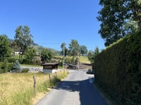 Saanenmöser von Saanen