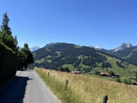 Saanenmöser von Saanen