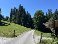 Hornberg da Saanenmöser