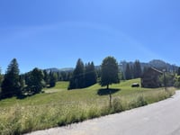 Hornberg da Saanenmöser