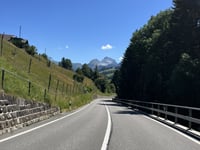 Saanenmöser von Zweisimmen