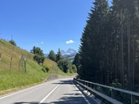 Saanenmöser von Zweisimmen