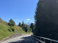 Saanenmöser von Zweisimmen