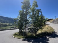 Sparenmoos von Zweisimmen