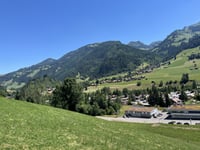 Sparenmoos von Zweisimmen